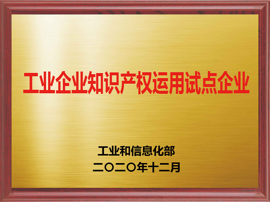 5-工業(yè)企業(yè)知識產(chǎn)權運用試點企業(yè)5.jpg