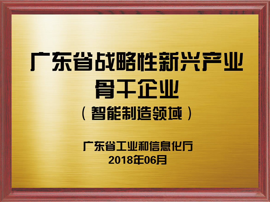 13-廣東省戰(zhàn)略性新興產(chǎn)業(yè)骨干企業(yè)（智能制造領域）1.jpg
